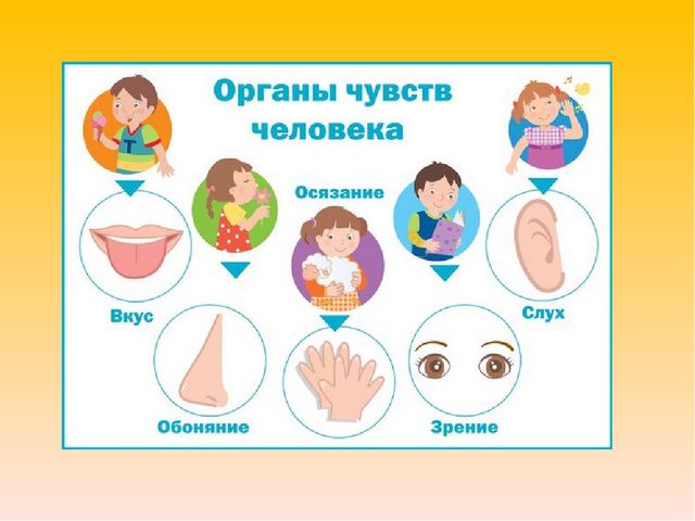 Презентация лекции "Здоровьесберегающие технологии"