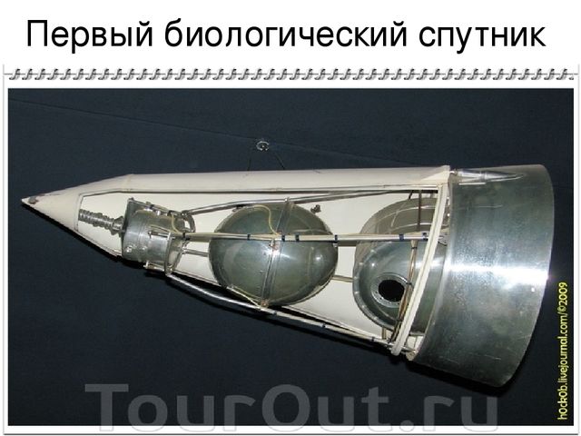 Презентация для детей старшей группы "Космос"