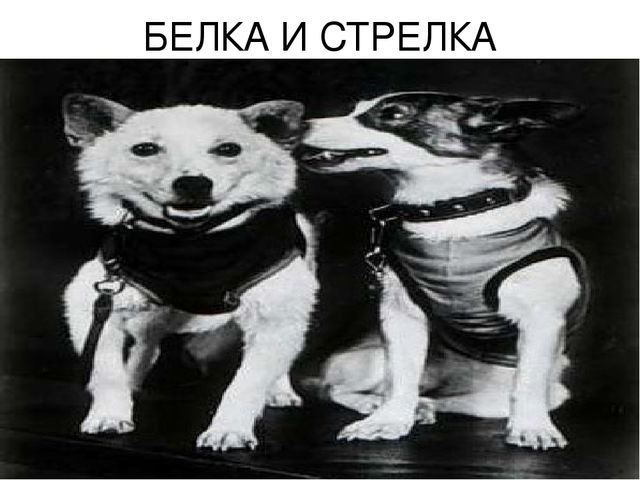 Презентация для детей старшей группы "Космос"