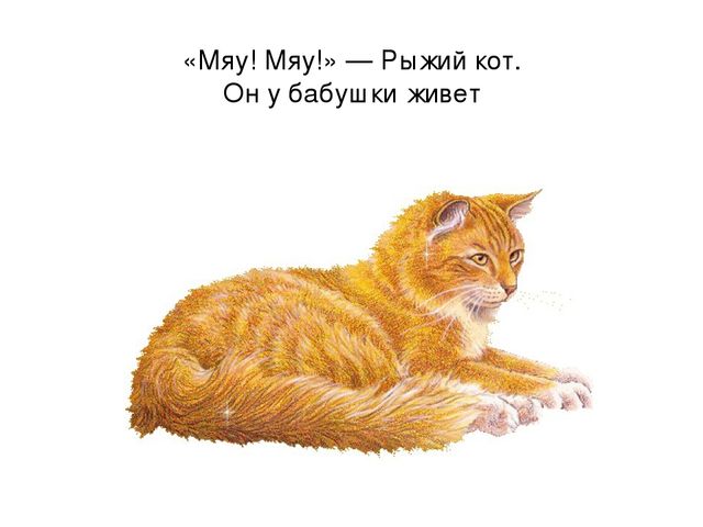 Мяу мяу котики. Мяу. Мяцу. Мяу картинки. Кот мяу мяу мяу.