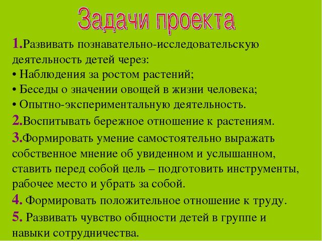 Краткосрочный проект по экологии на тему "Весенняя сказка"