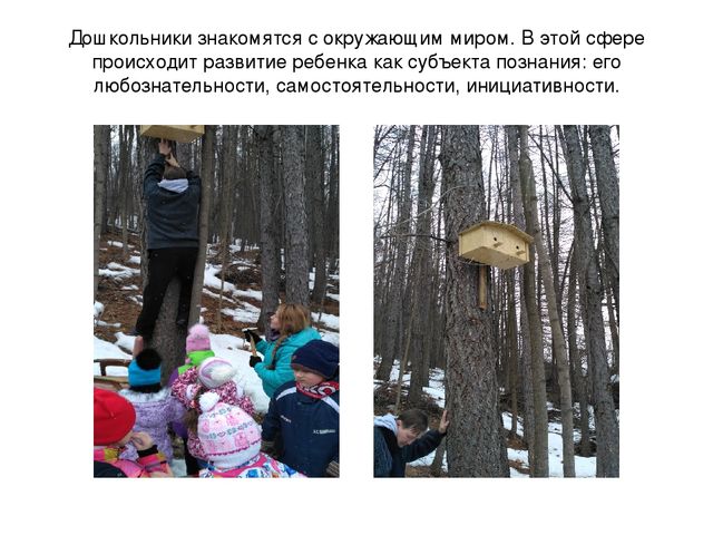 Презентация по теме: "Моя группа"