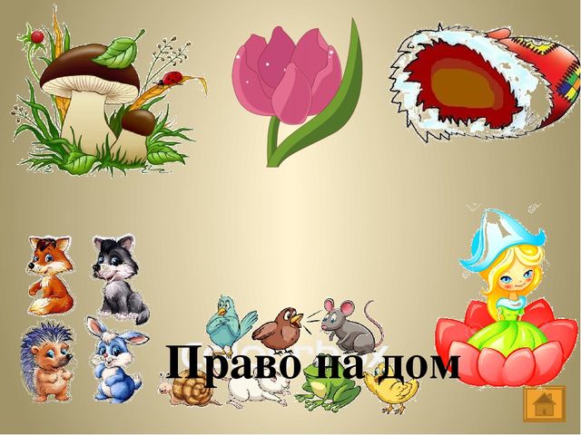 Интерактивная игра "Мои права"
