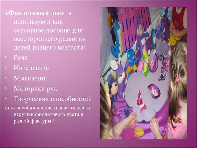 Презентация по теме: «Использование развивающих игр в группах раннего возраста».