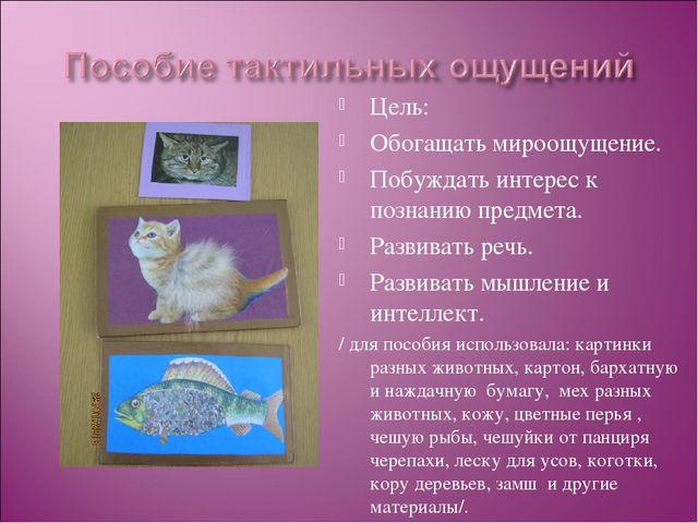 Презентация по теме: «Использование развивающих игр в группах раннего возраста».
