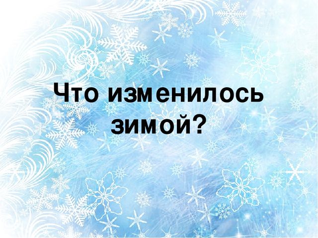 Интерактивная игра "Что изменилось зимой?"