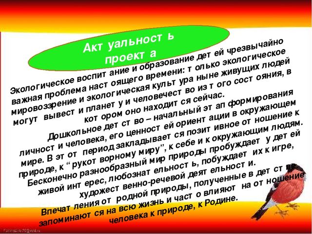 Презентация "Наши пернатые друзья"