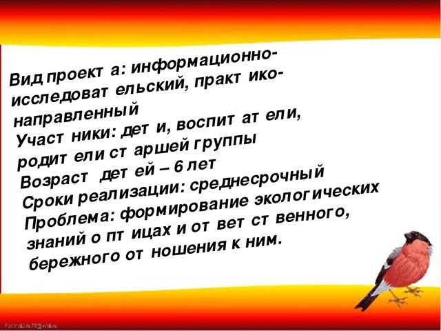 Презентация "Наши пернатые друзья"