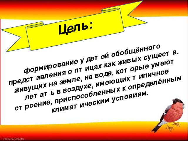 Презентация "Наши пернатые друзья"