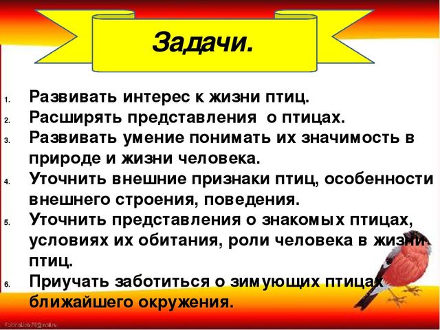 Презентация "Наши пернатые друзья"