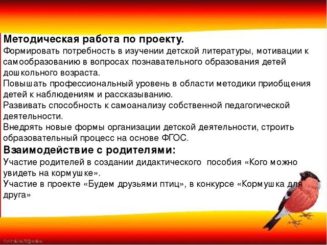 Презентация "Наши пернатые друзья"