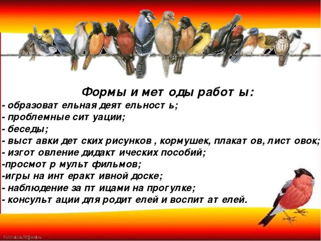 Презентация "Наши пернатые друзья"