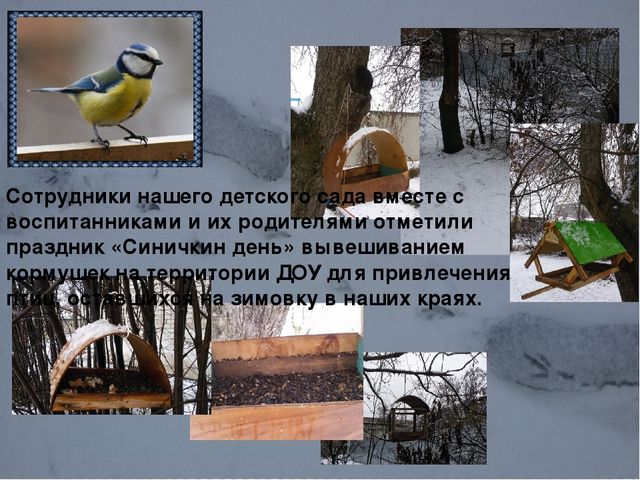 Презентация "Наши пернатые друзья"