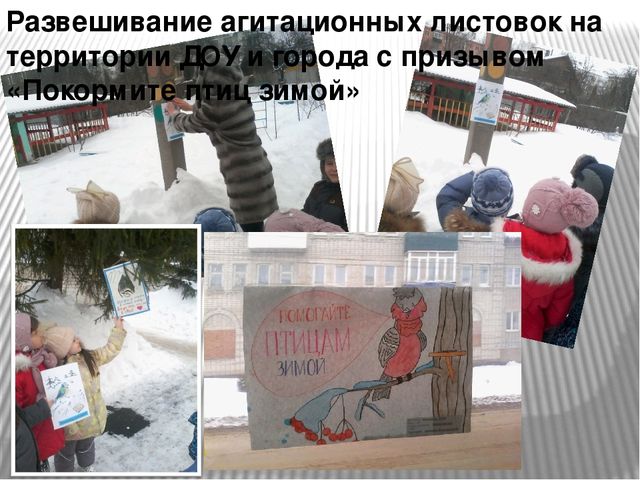 Презентация "Наши пернатые друзья"