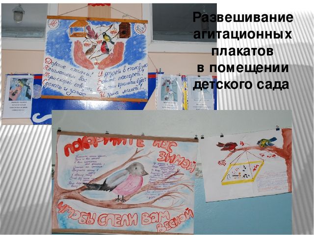 Презентация "Наши пернатые друзья"