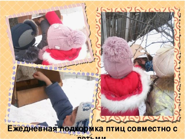 Презентация "Наши пернатые друзья"