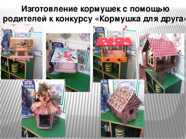Презентация "Наши пернатые друзья"