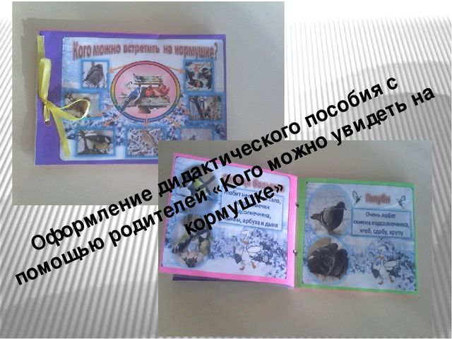 Презентация "Наши пернатые друзья"