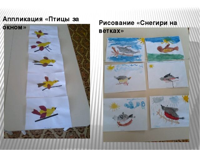 Презентация "Наши пернатые друзья"
