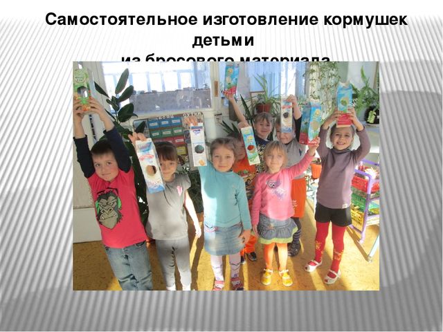 Презентация "Наши пернатые друзья"