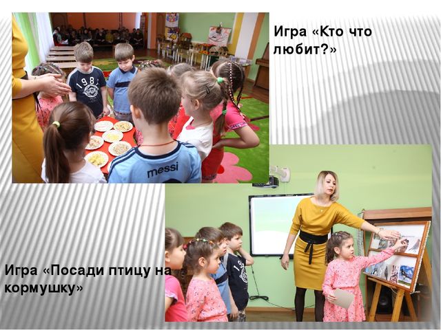 Презентация "Наши пернатые друзья"