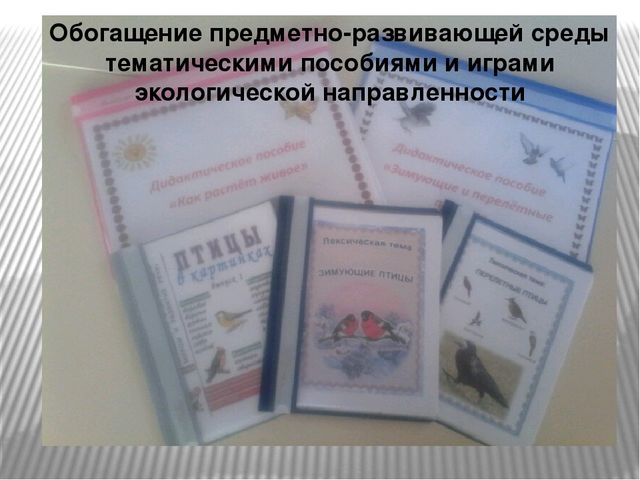 Презентация "Наши пернатые друзья"