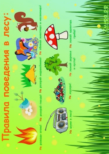 Picture 1