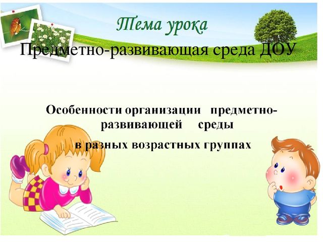 Предметно-развивающая среда в ДОУ