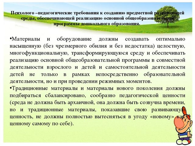 Предметно-развивающая среда в ДОУ
