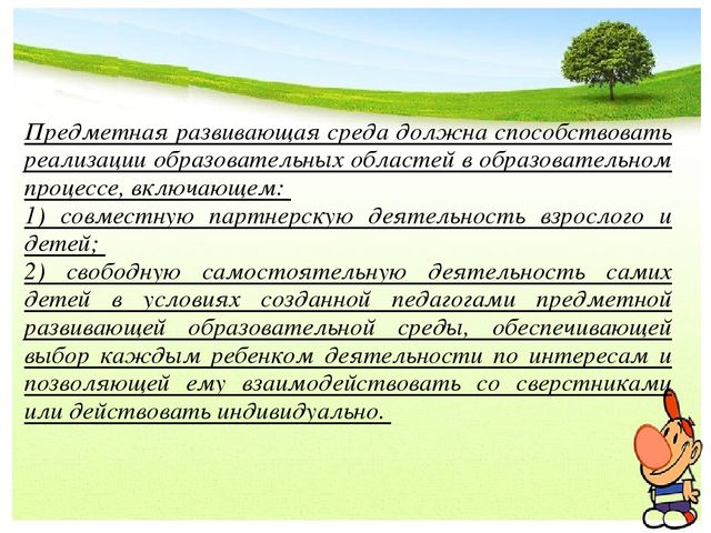 Предметно-развивающая среда в ДОУ