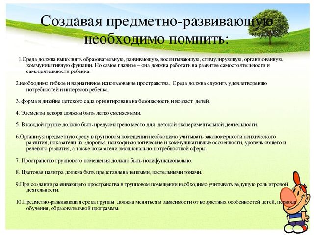 Предметно-развивающая среда в ДОУ