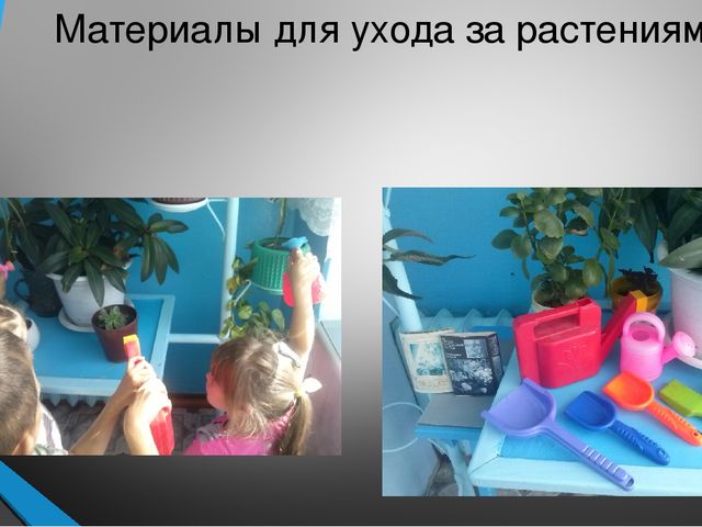 Презентация на тему "Лучший экологический уголок ДОУ"