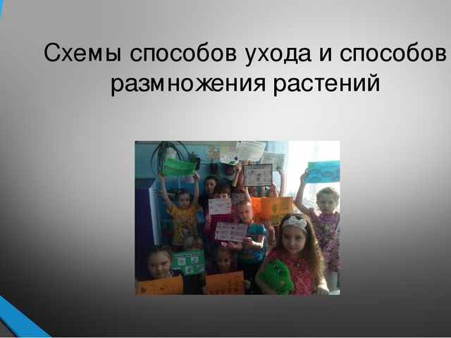 Презентация на тему "Лучший экологический уголок ДОУ"