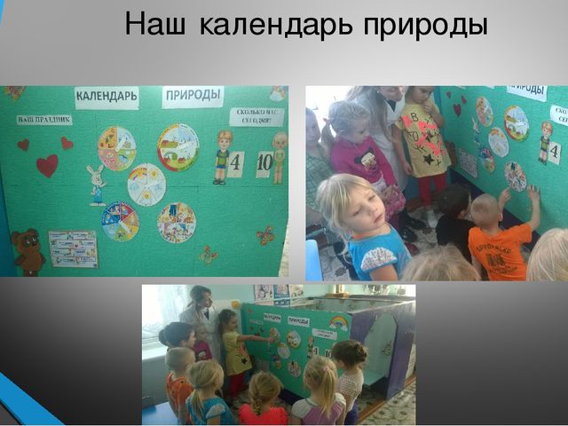 Презентация на тему "Лучший экологический уголок ДОУ"