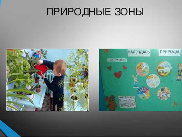 Презентация на тему "Лучший экологический уголок ДОУ"