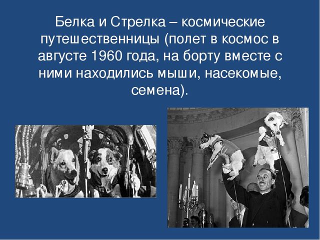 Презентация по ознакомлению с окружающим миром на тему "День космонавтики"