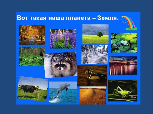 Презентация по ознакомлению с окружающим миром на тему "День космонавтики"