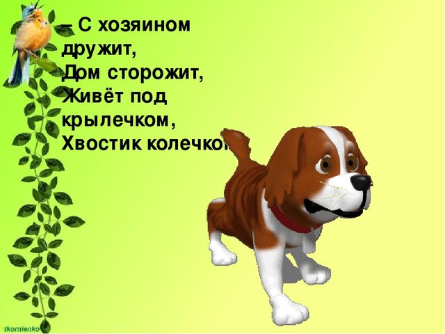 Презентация по экологии. День защиты животных.