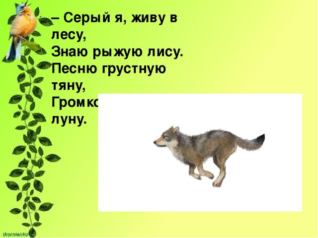 Презентация по экологии. День защиты животных.