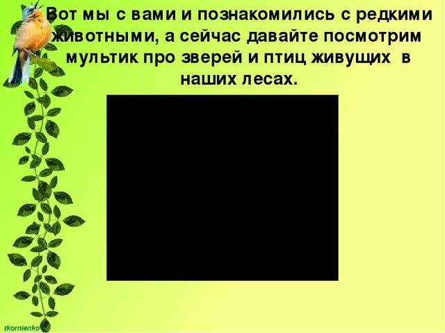 Презентация по экологии. День защиты животных.