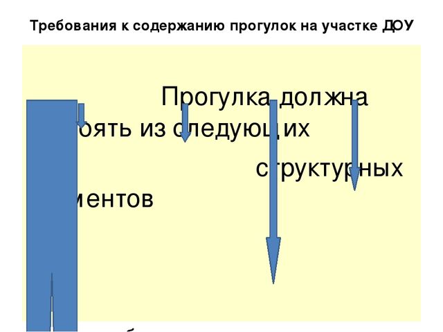 Организация и проведения прогулки в детском саду