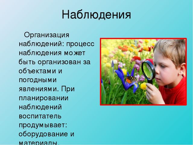 Организация и проведения прогулки в детском саду
