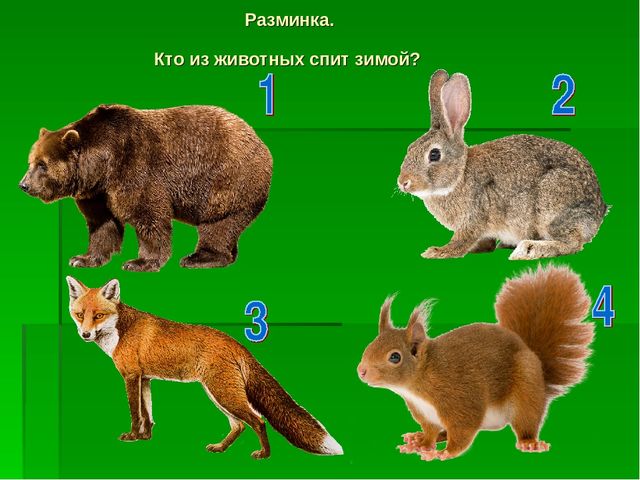 Презентация по экологическому воспитанию "Звездный час"