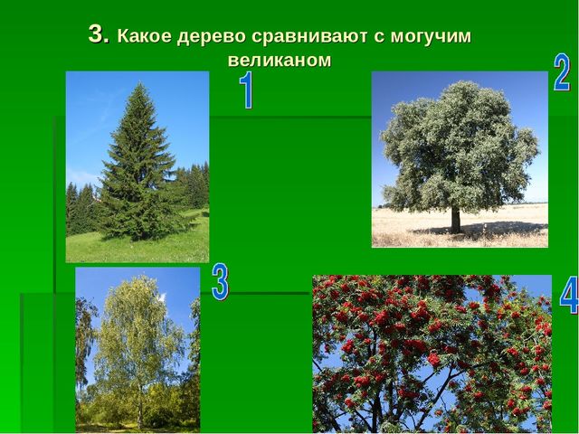 Презентация по экологическому воспитанию "Звездный час"