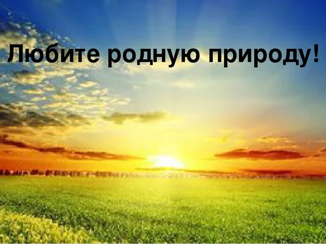 Презентация по экологии на тему "Красота природы"