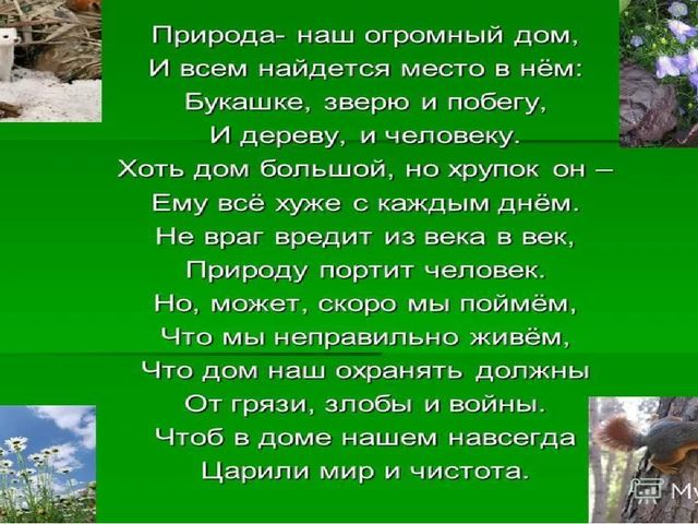 Презентация по экологии на тему "Берегите планету"