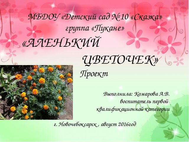 Проект "Аленький проект" (старший возраст)
