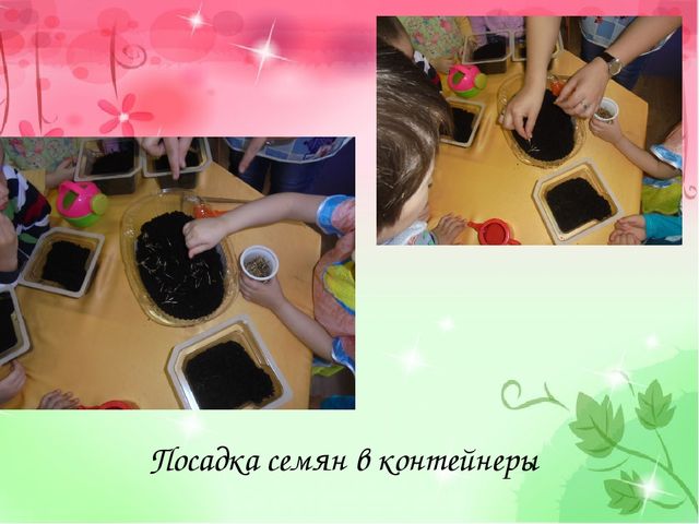 Проект "Аленький проект" (старший возраст)