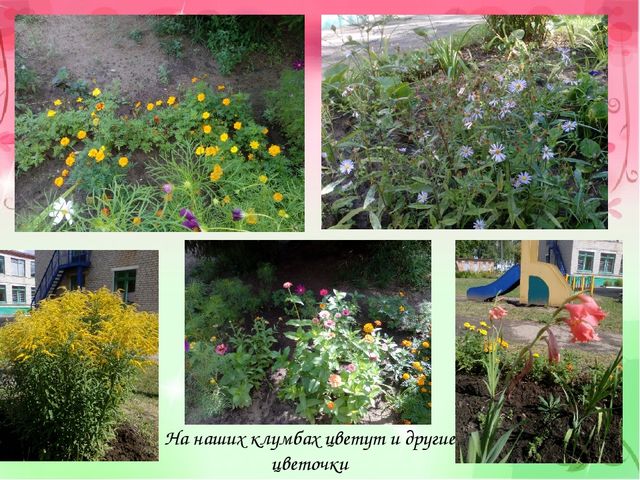 Проект "Аленький проект" (старший возраст)