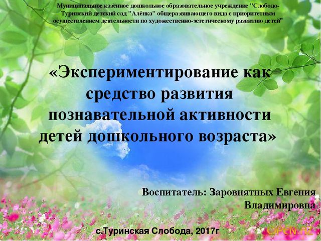 Презентация опытно экспериментальная деятельность в детском саду